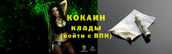 бошки Белокуриха