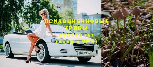стафф Белоозёрский