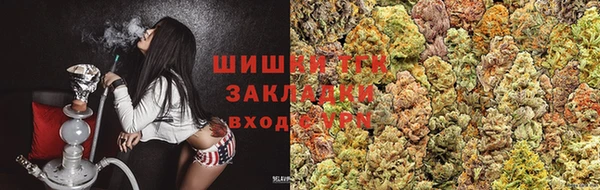 бошки Белокуриха