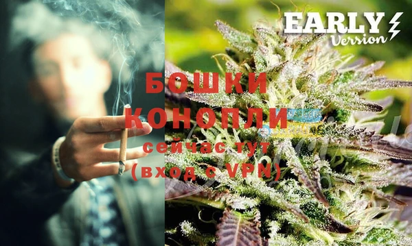 бошки Белокуриха