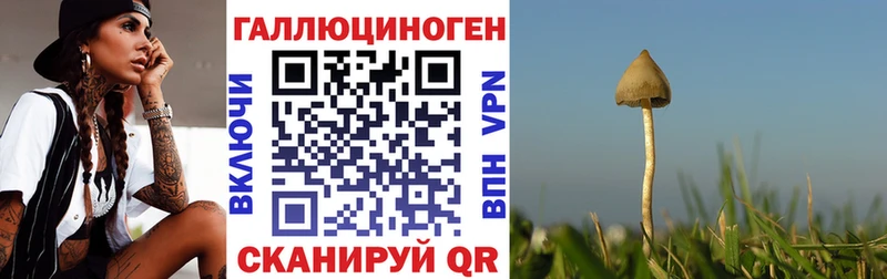 Псилоцибиновые грибы Psilocybine cubensis Острогожск