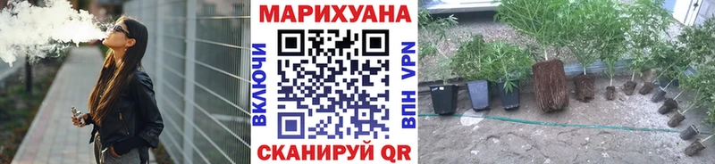 Бошки Шишки план Острогожск